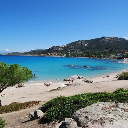 L'Orangeraie Calvi Centre A 300M De La Plage Et Du Port Parking Prive エクステリア 写真