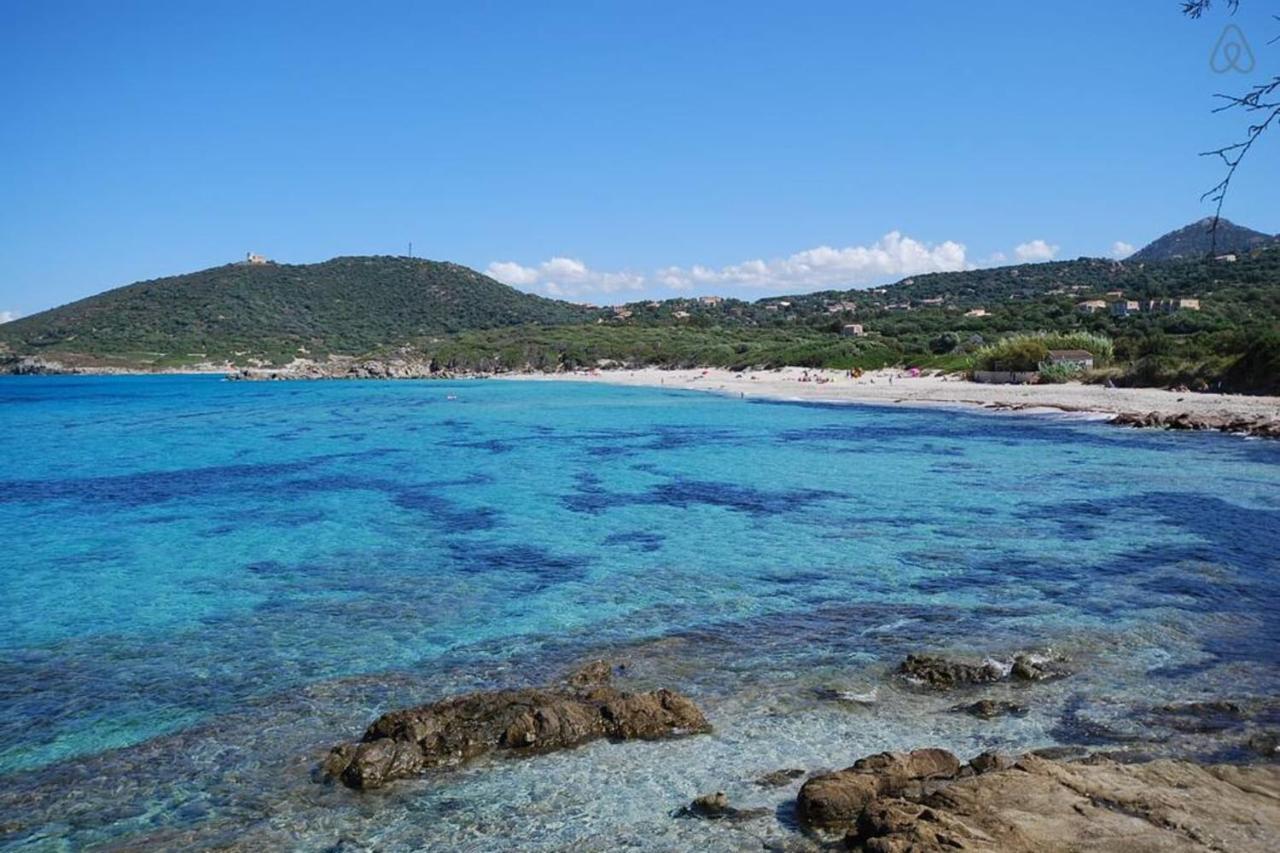 L'Orangeraie Calvi Centre A 300M De La Plage Et Du Port Parking Prive エクステリア 写真