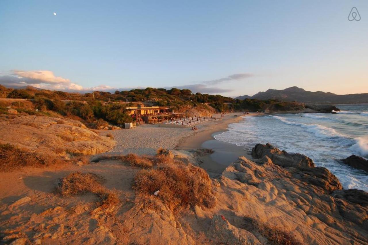 L'Orangeraie Calvi Centre A 300M De La Plage Et Du Port Parking Prive エクステリア 写真