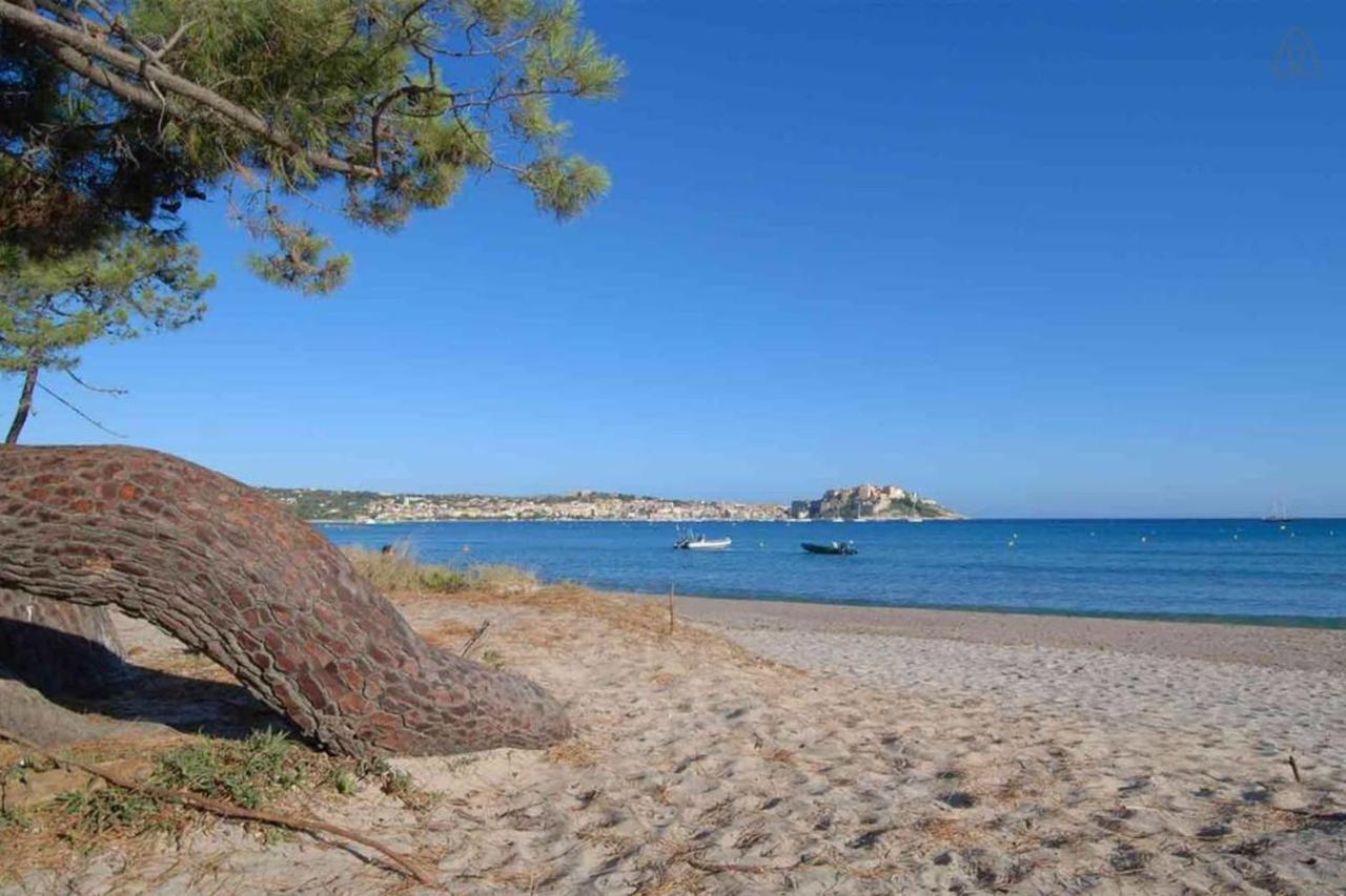 L'Orangeraie Calvi Centre A 300M De La Plage Et Du Port Parking Prive エクステリア 写真