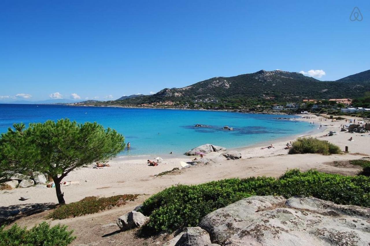 L'Orangeraie Calvi Centre A 300M De La Plage Et Du Port Parking Prive エクステリア 写真